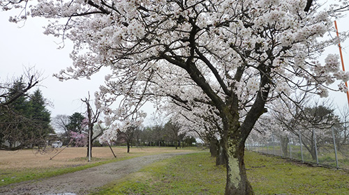 Niikawa Manabi-no-mori Tenjin-yama Community Center