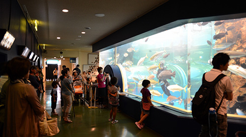 Uozu Aquarium