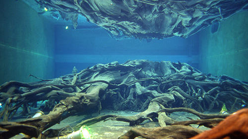 Uozu Buried Forest Museum