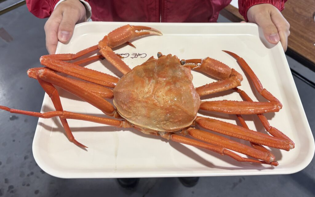 公式】魚津市観光案内公式サイト ｜ うおっ！な魚津旅情報＠北陸・魚津