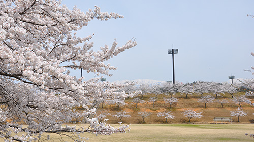Uozu Momoyama Athletic Park