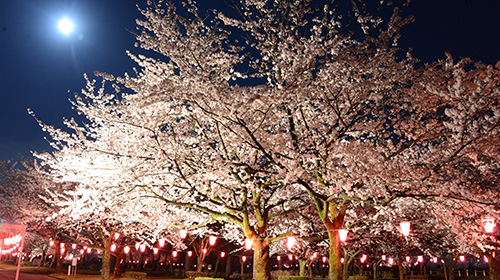 Mira Park (in Uozu General Park)