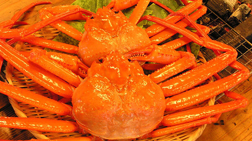 Red Snow Crab